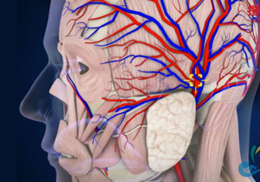 戰地醫療急救三維動畫演示